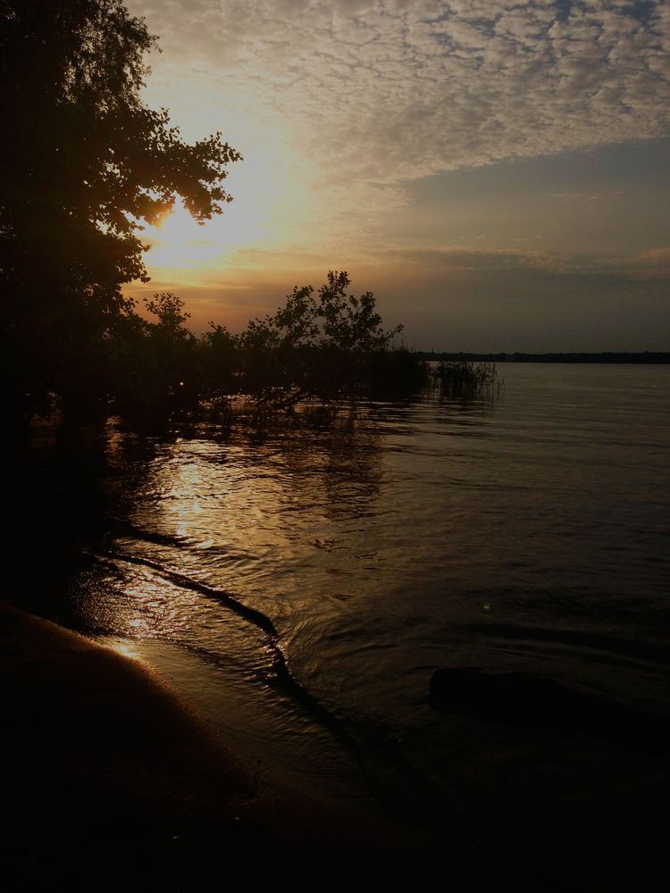 Müggelsee im Juni