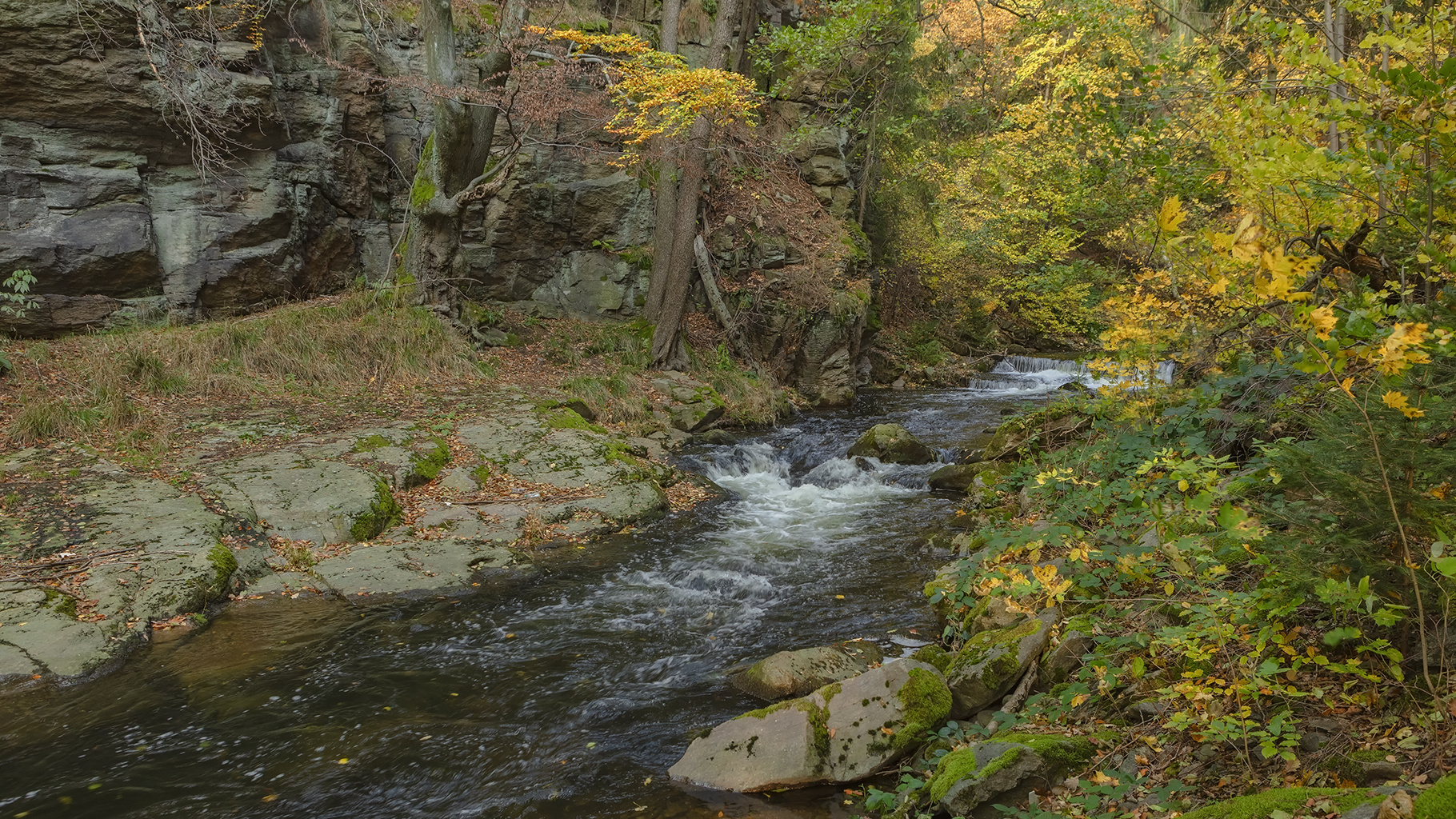 Müglitzrauschen