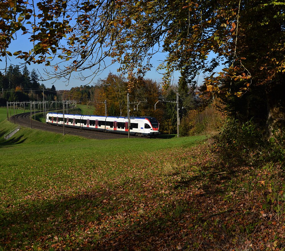 Mühlau Herbst II