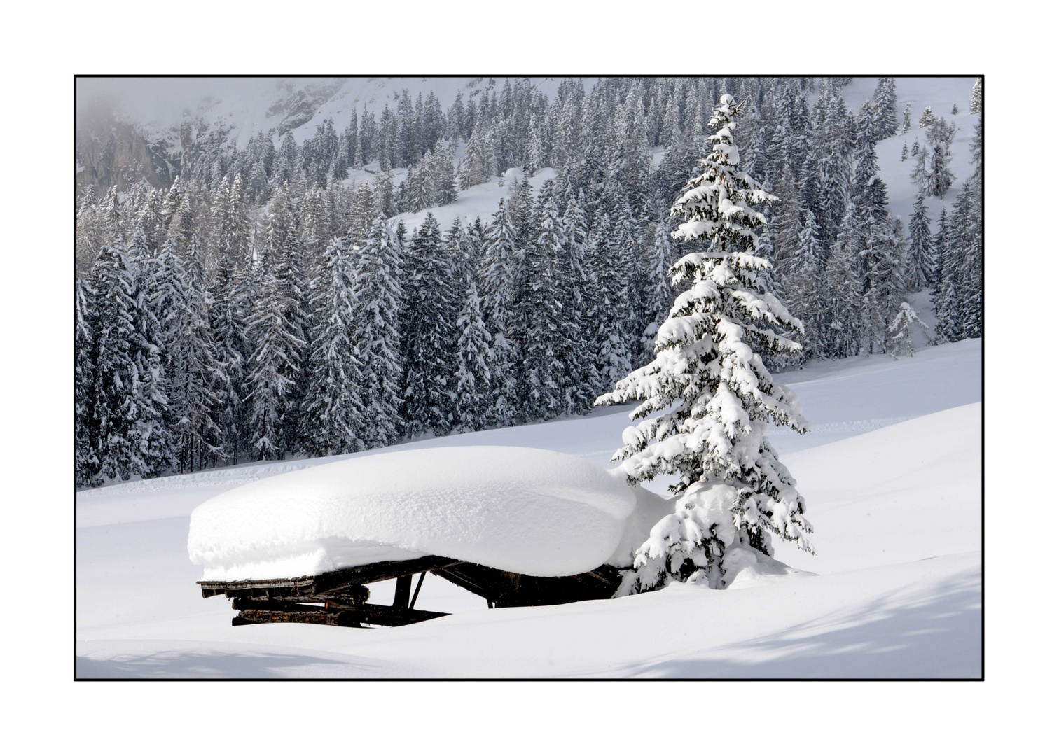 Mühlbach am Hochkönig - Arthurhaus - dort wo der Winter zu Hause ist