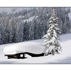 Mühlbach am Hochkönig - Arthurhaus - dort wo der Winter zu Hause ist