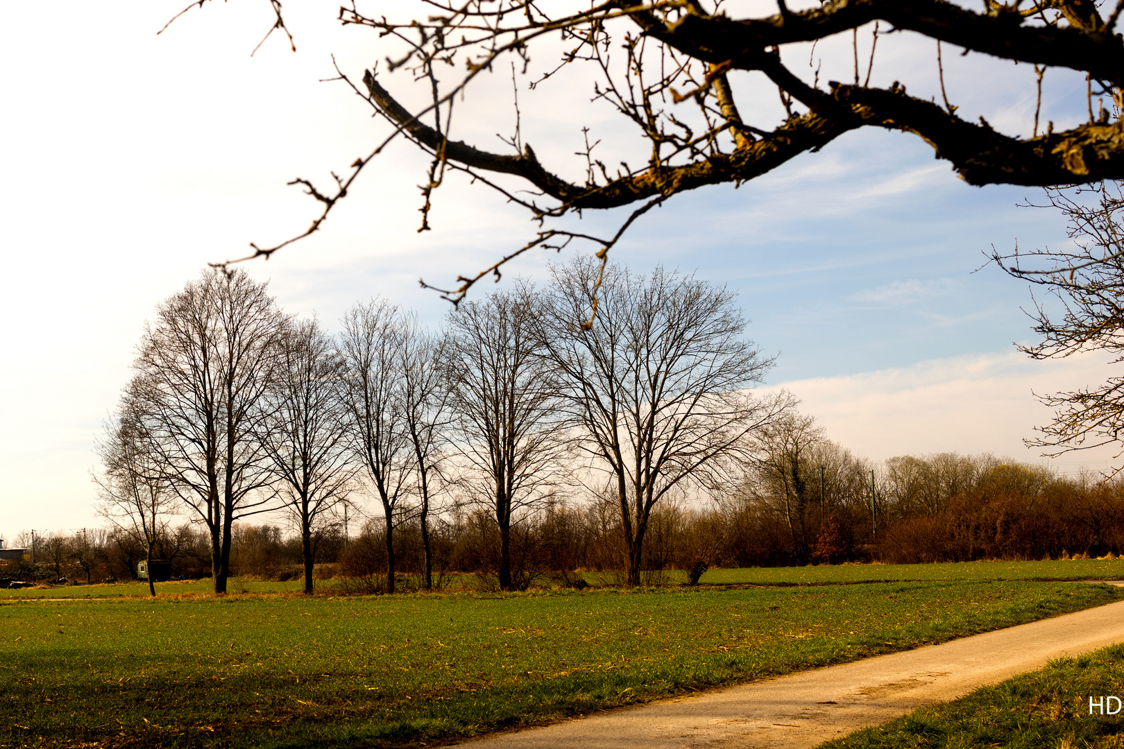 Mühlberg-Rundweg