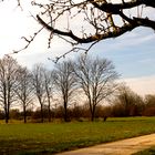 Mühlberg-Rundweg