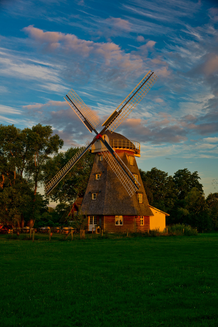 Mühle Ahrenshoop