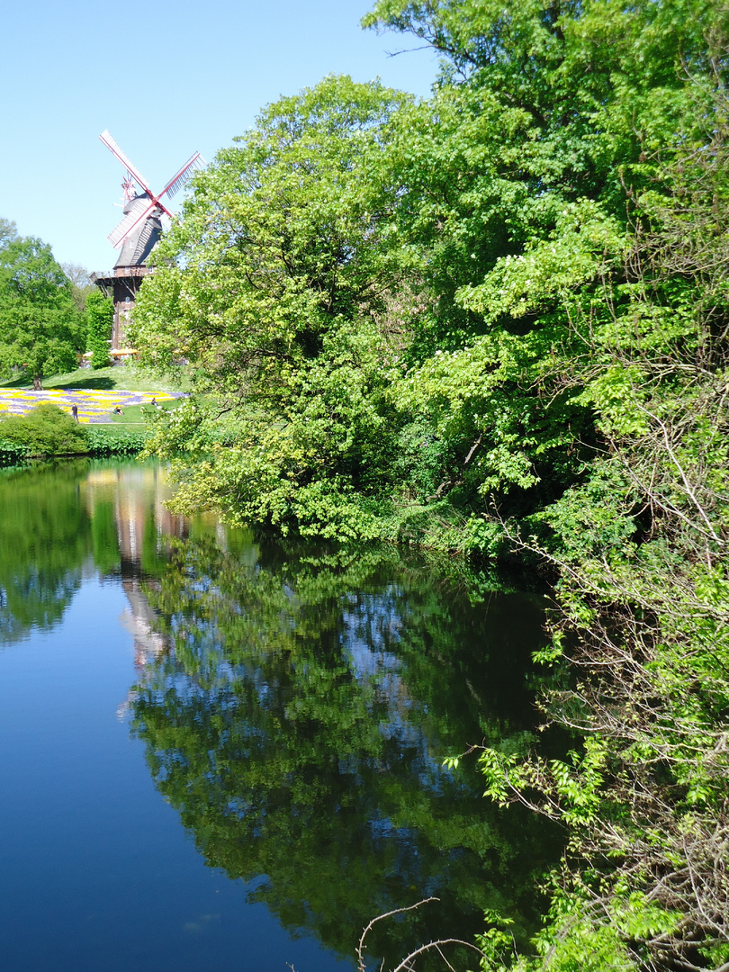 Mühle am Spiegelwasser, Baumspiegelung