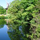 Mühle am Spiegelwasser, Baumspiegelung