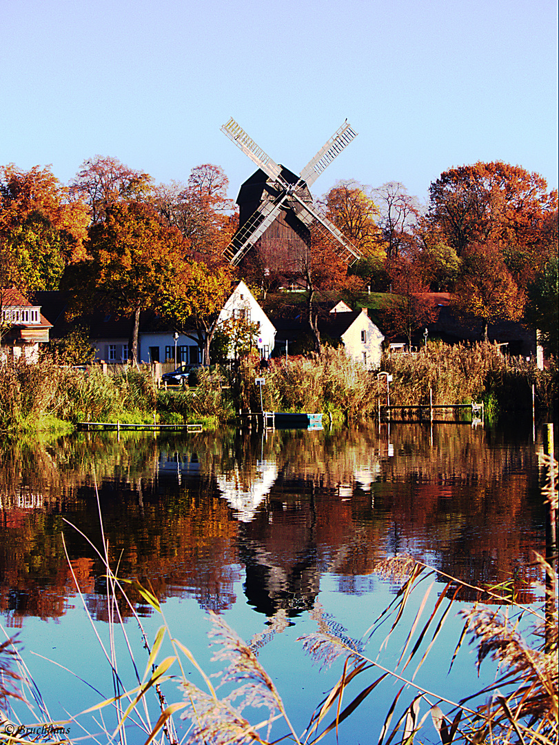Mühle auf der Insel Werder Foto & Bild | landschaft, natur ...