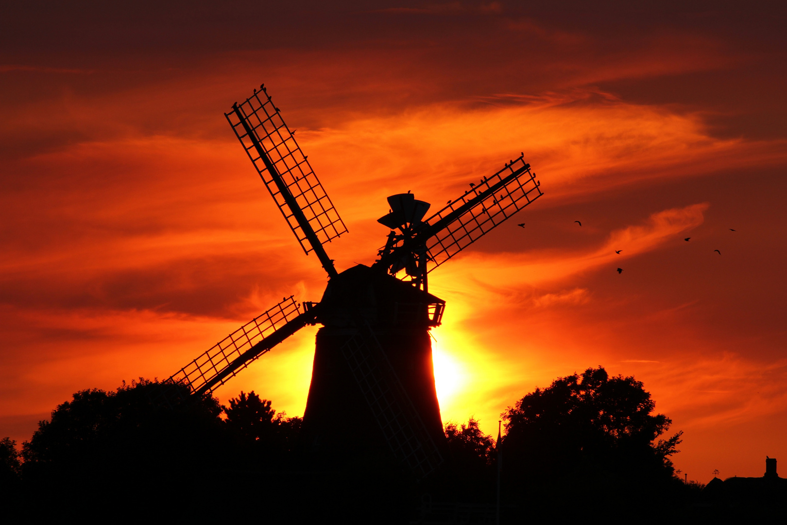 Mühle auf Föhr