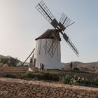 Mühle auf Fuerteventura