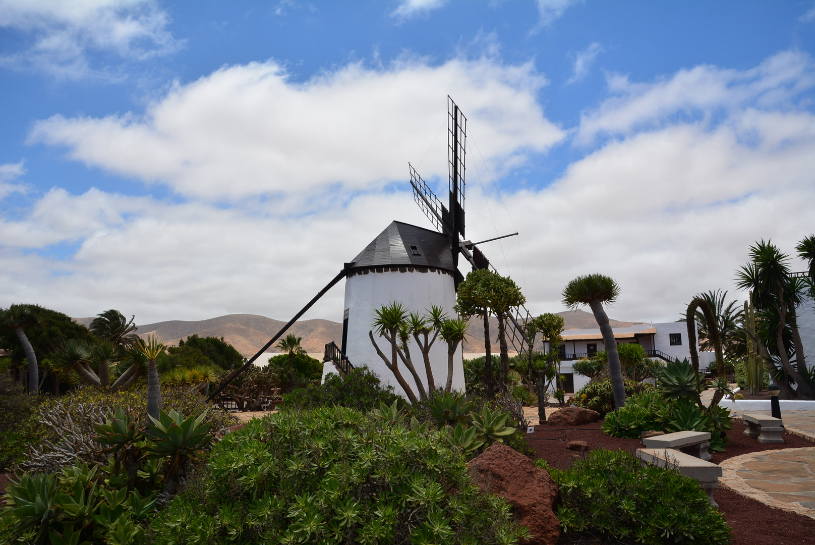 Mühle auf Fuerteventura