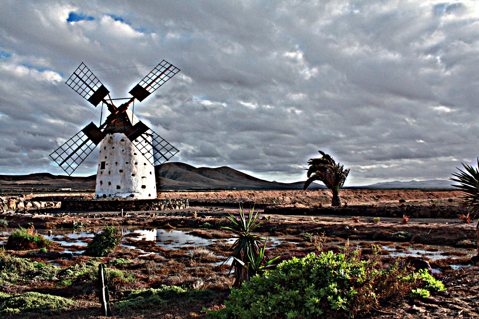 Mühle auf Fuerteventura