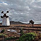 Mühle auf Fuerteventura