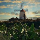 Mühle auf Lanzarote