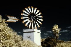 Mühle auf Mallorca VII