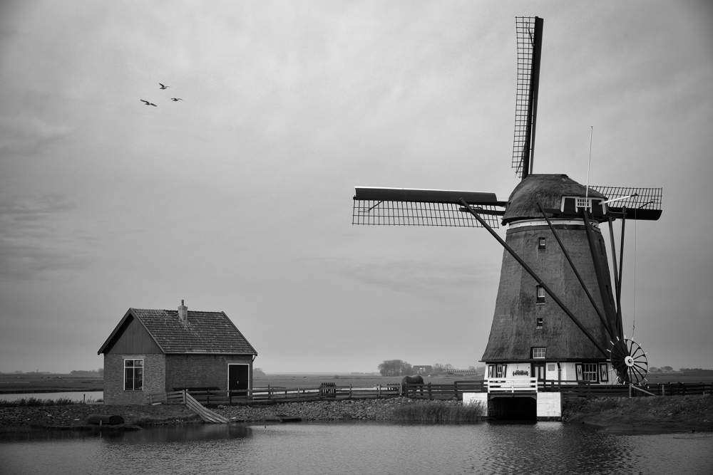Mühle auf Texel