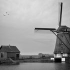 Mühle auf Texel