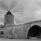 Mühle bei den Salinen von Trapani (Sizilien)