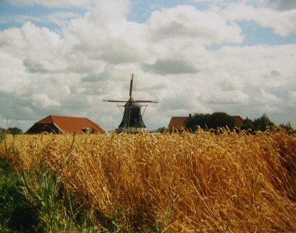 Mühle bei Neuharlingersiel