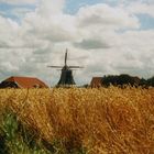 Mühle bei Neuharlingersiel