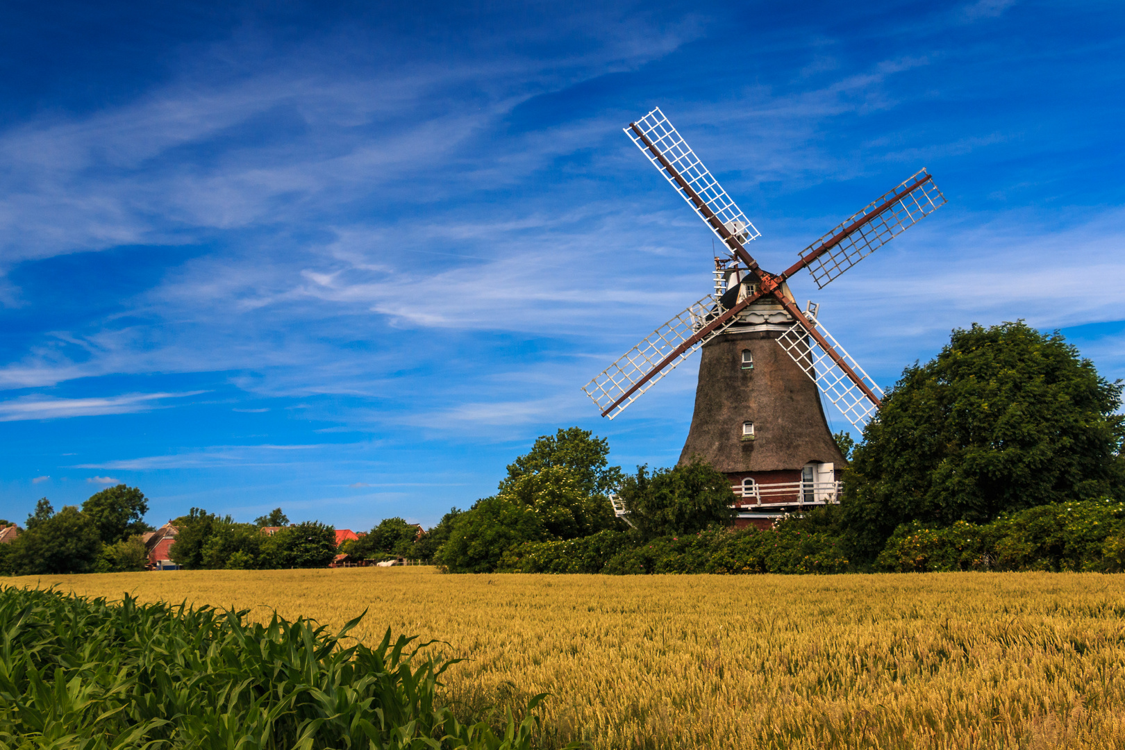 Mühle bei Oldsum auf Föhr