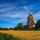 Mühle bei Oldsum auf Föhr