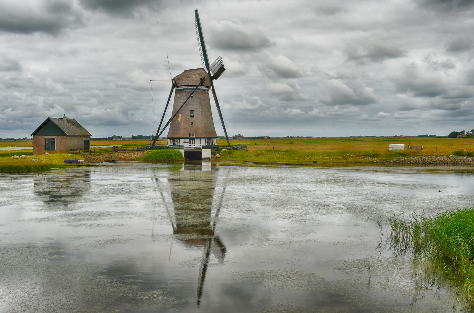 Mühle bei Oost - Texel