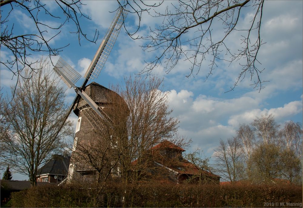 Mühle bei Raesfeld Erle