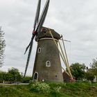 Mühle "De Vrijheid" Beesd (NL)