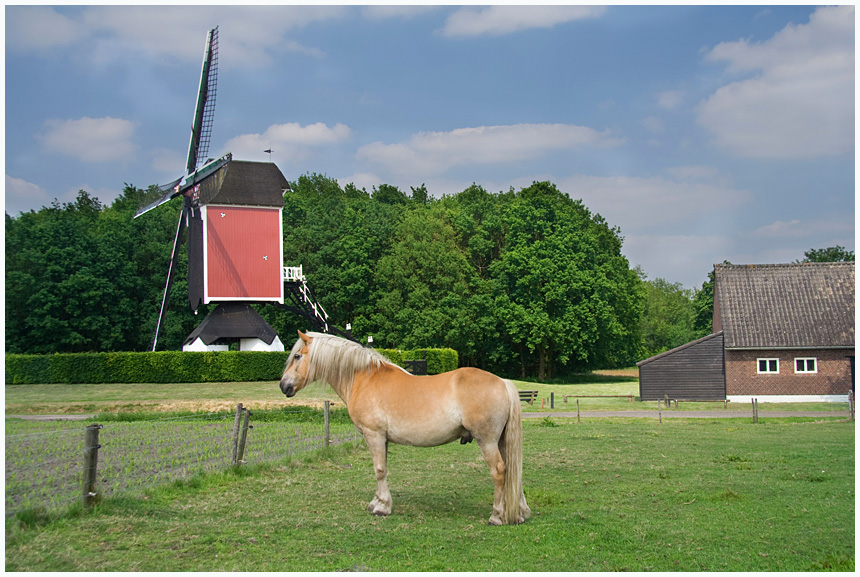 Mühle "Den Evert"