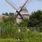 Mühle Freilichtmuseum Kiel-Molfsee 1