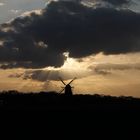 Mühle im Abendlicht