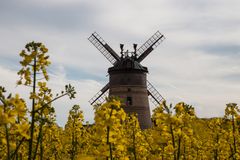 Mühle im Feld