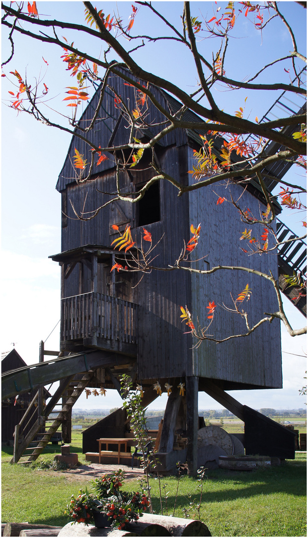 Mühle im Herbst