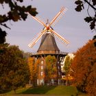 Mühle im Herbstlicht