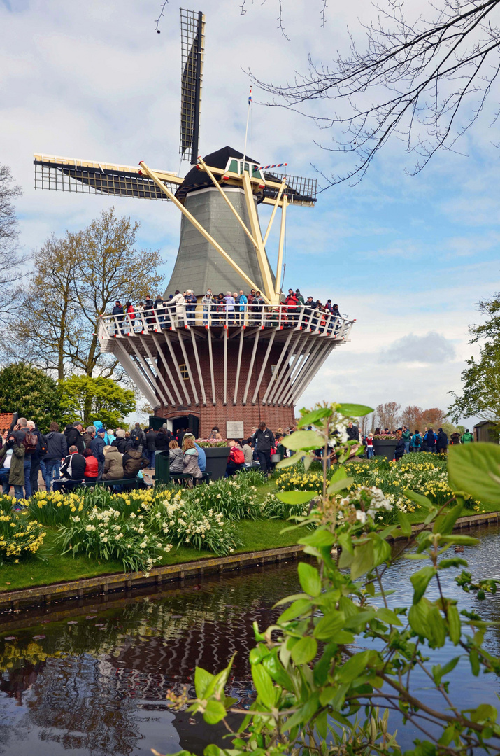 Mühle im Keukenhof