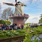 Mühle im Keukenhof