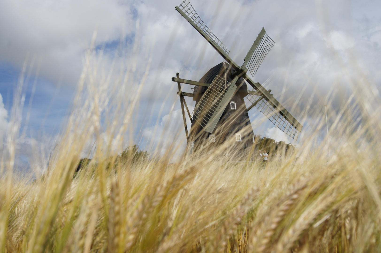 Mühle im Kornfeld