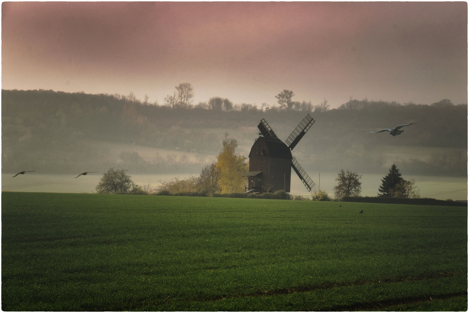 Mühle im Morgendunst