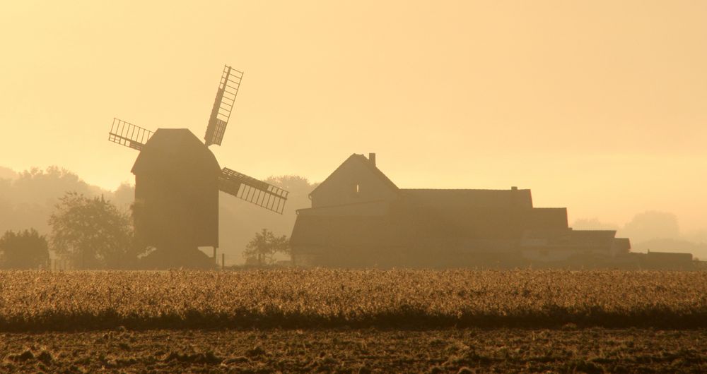 Mühle im Morgennebel