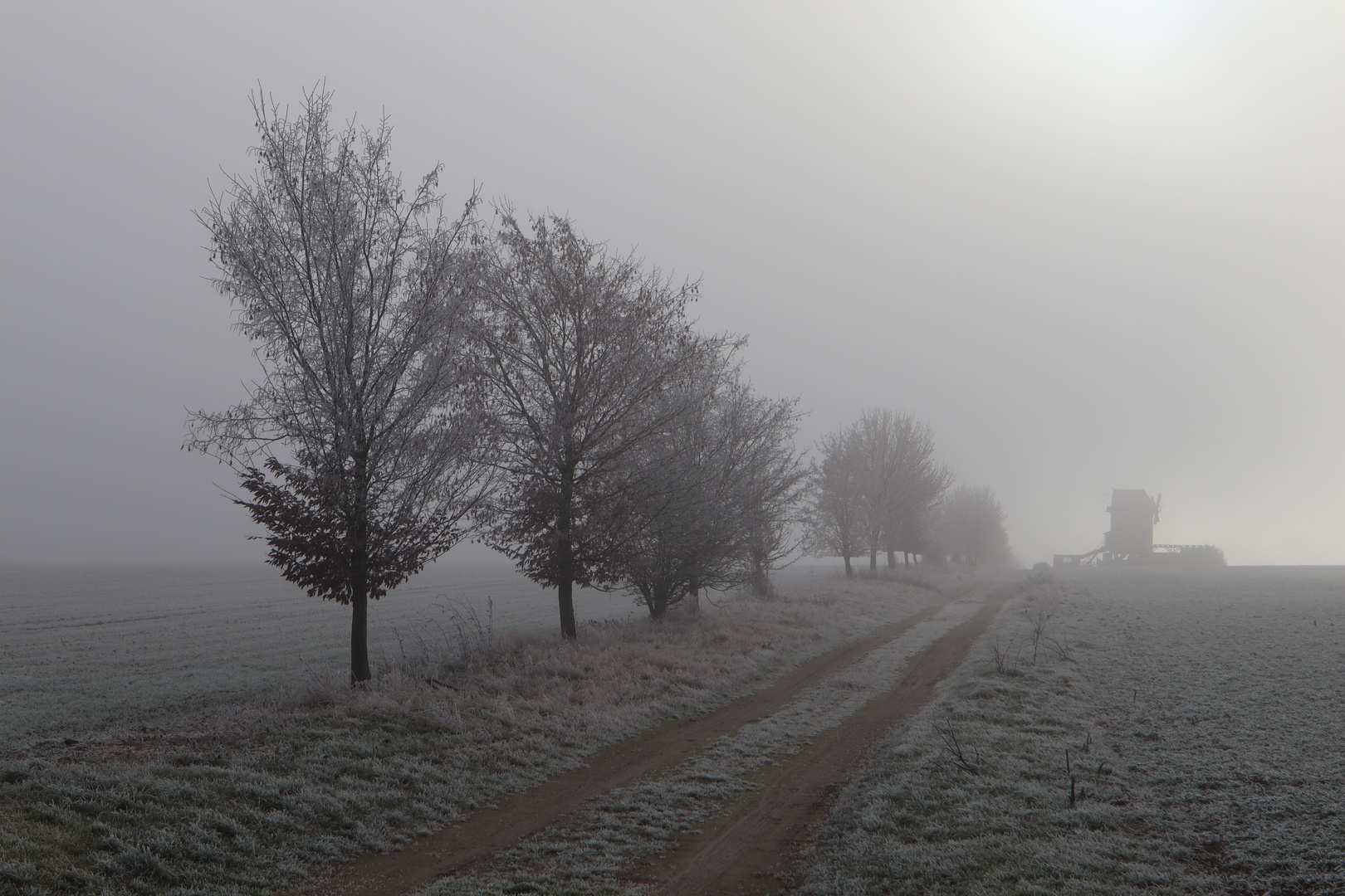 Mühle im Morgennebel