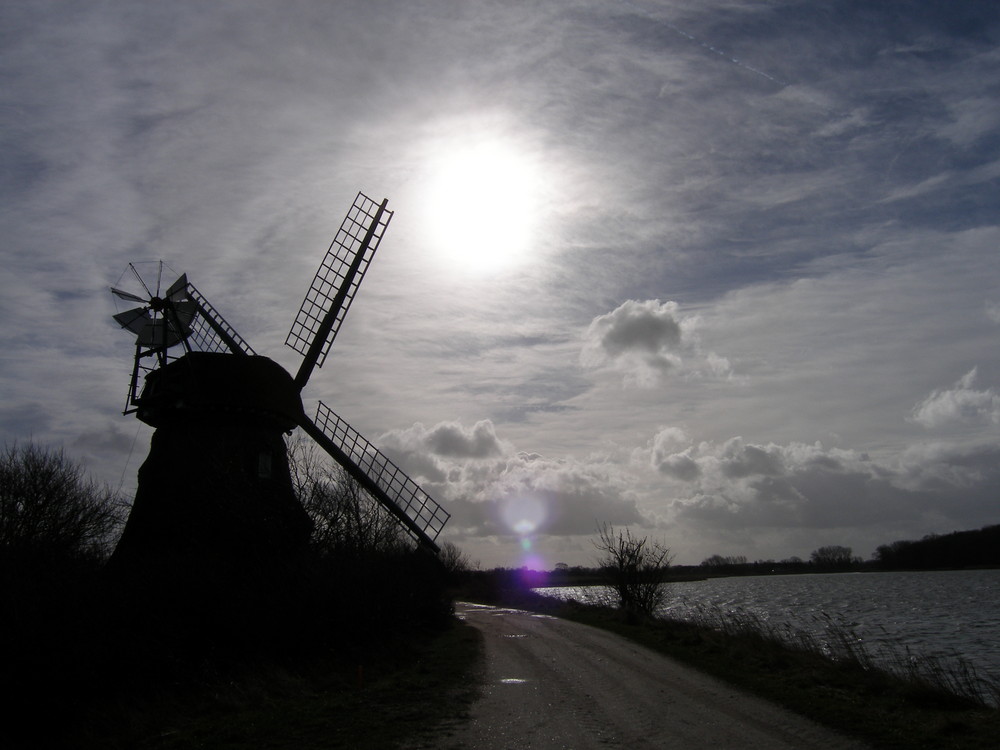 Mühle im Naturschutzgebiet " Geltinger Birk "