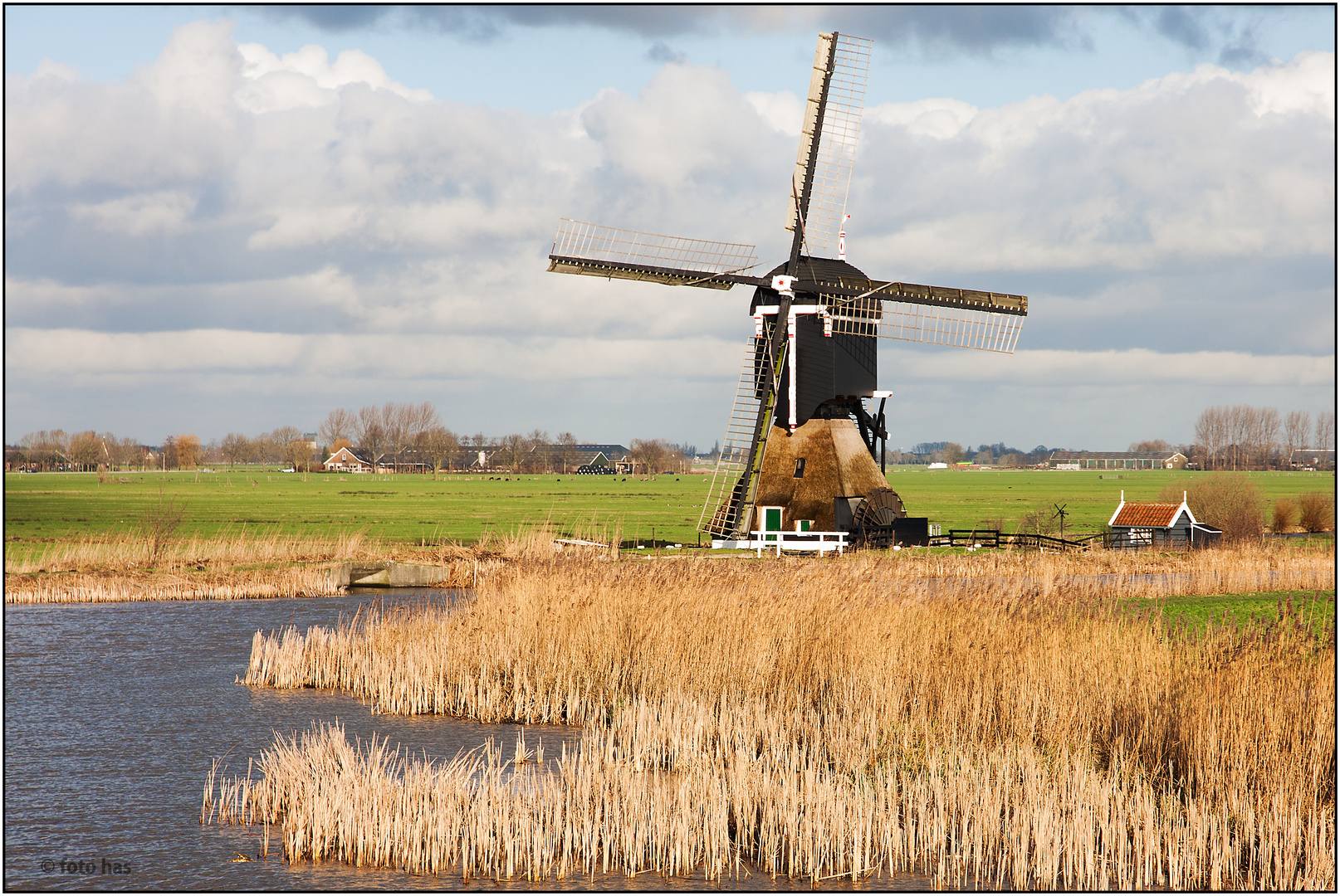 Mühle im Polder (NL)