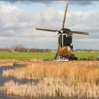 Mühle im Polder (NL)