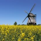 Mühle im Rapsfeld