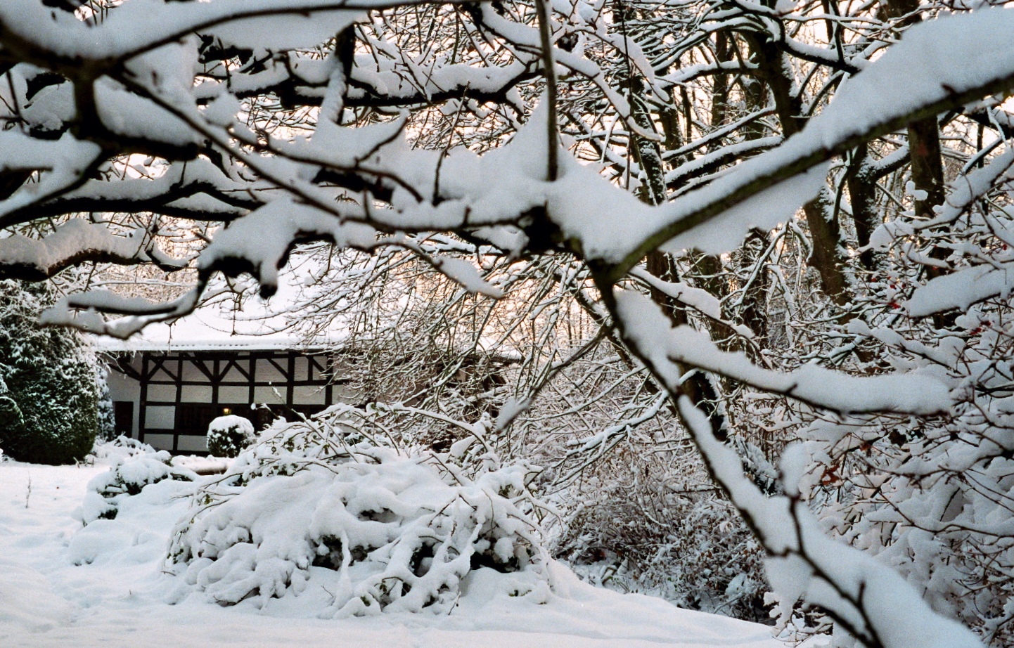 Mühle im Schnee