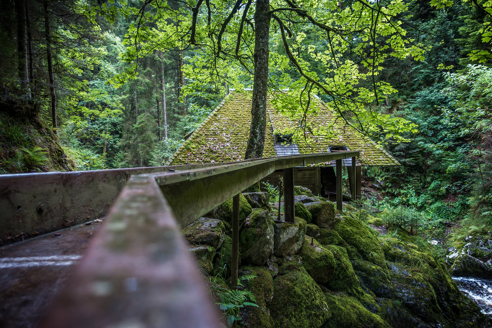 Mühle im Schwarzwald Foto & Bild industrie und technik, landschaft