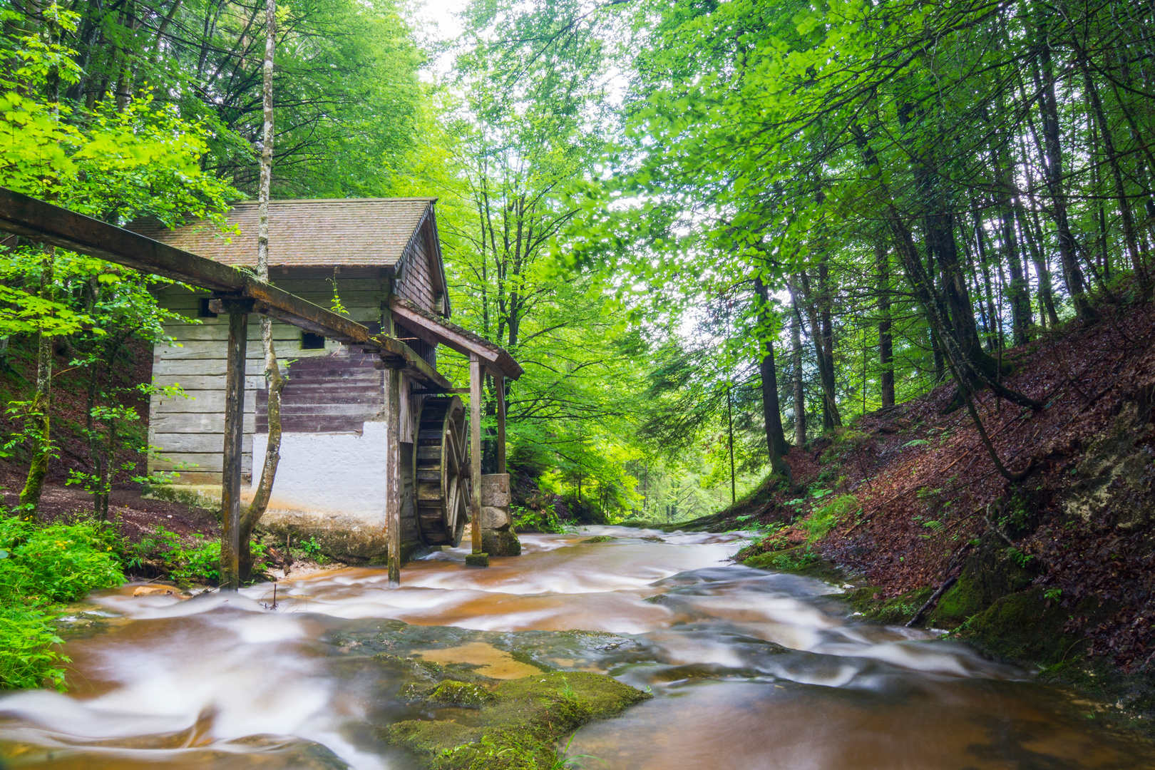 Mühle im Wald