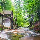 Mühle im Wald