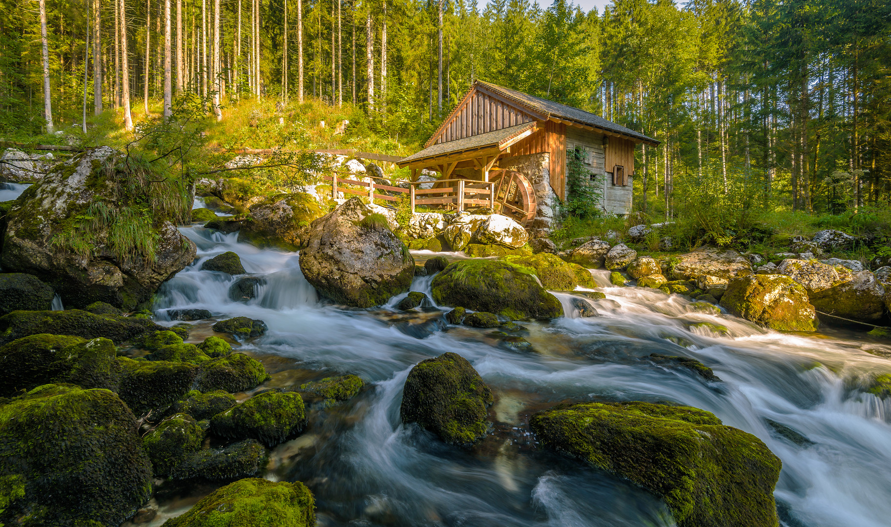 Mühle im Wald