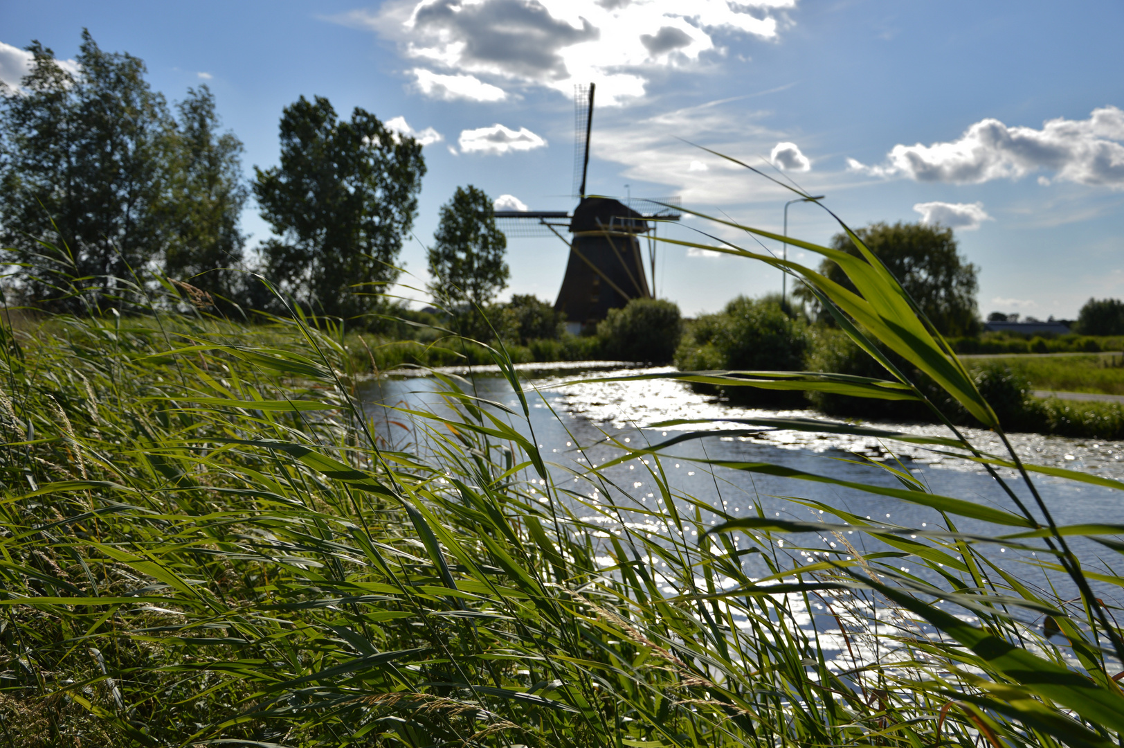 Mühle im Wind